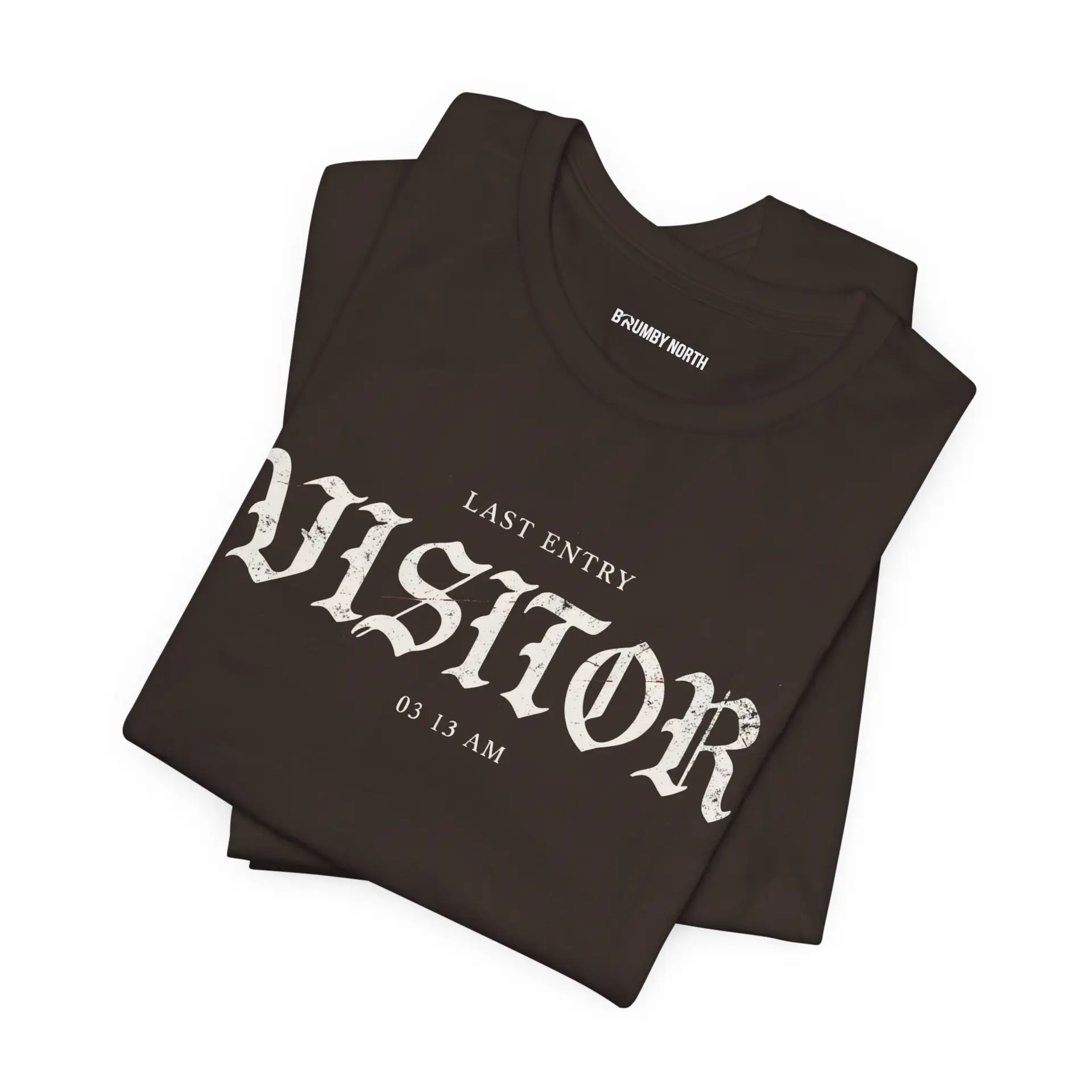 Image Alt Text (Front) Black Bella+Canvas 3001 unisex t-shirt featuring a vintage gothic "Visitor" front graphic with minimalist horror typography, modeled in a studio setting. Image Alt Text (Back) Back view of a black Bella+Canvas 3001 unisex t-shirt featuring "The Last Visitor" gothic horror back graphic with vintage typography and subtle distressed details, modeled in a studio setting.