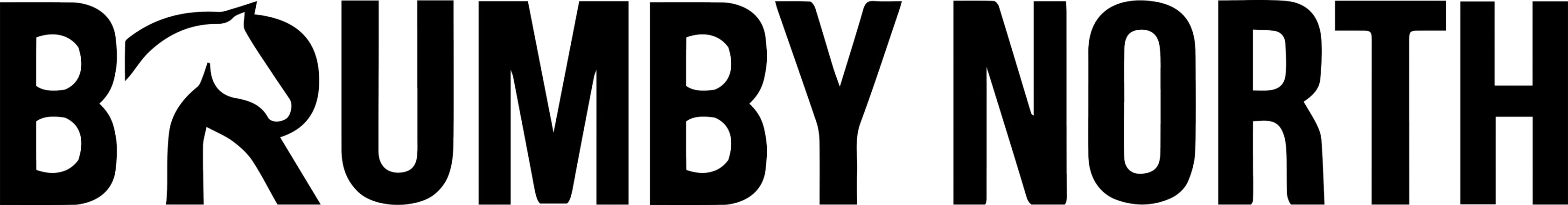 brumbynorth.com